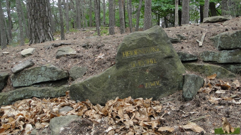 Ritterstein Nr. 257-2b Heidenburg 9. - 10. Jahrhundert.JPG - Ritterstein Nr.257 Heidenburg